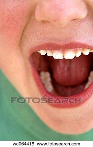 close up of an open childs mouth, with teeth View Large Photo Image Stock Photography - close up of an open childs mouth, with teeth. Fotosearch