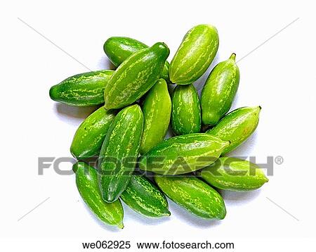 Coccinia grandis Ivy gourd (Cucurbitaceae) View Large Photo Image Stock Photography - Coccinia grandis Ivy gourd (Cucurbitaceae). Fotosearch