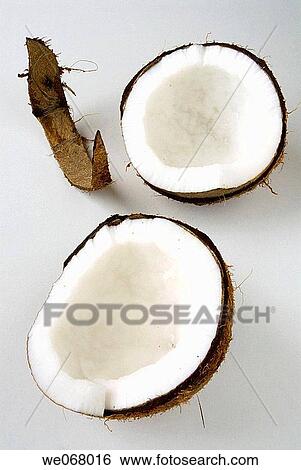 Coconuts View Large Photo Image Stock Photograph - Coconuts. Fotosearch