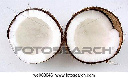 Coconuts View Large Photo Image Stock Photograph - Coconuts. Fotosearch