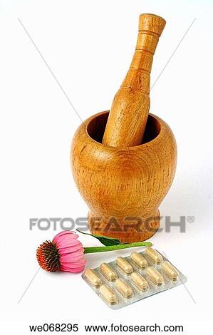 Coneflower (Echinacea purpurea) flower and pills View Large Photo Image Stock Photography - Coneflower (Echinacea purpurea) flower and pills. Fotosearch