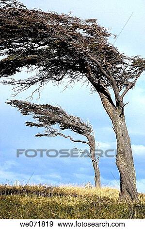 Stock Photo - country, explore, geographic, mountain, nature. Fotosearch