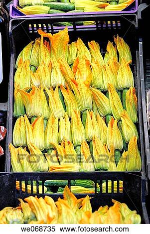 Courgette flowers for sale at La Boqueria market, Barcelona. Catalonia, Spain View Large Photo Image Stock Photography - Courgette flowers for sale at La Boqueria market, Barcelona. Catalonia, Spain. Fotosearch