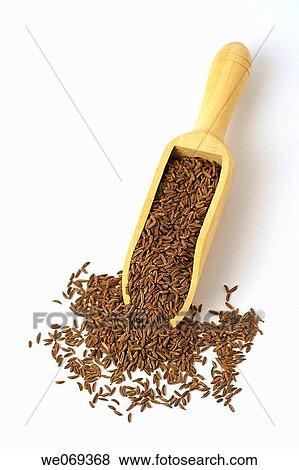 Stock Photo - Cumin (Cuminum cyminum) seeds. Fotosearch