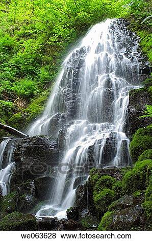 Fairy Falls in Spring - Columbia River Gorge, Oregon, USA View Large Photo Image Stock Photo - Fairy Falls in Spring - Columbia River Gorge, Oregon, USA. Fotosearch