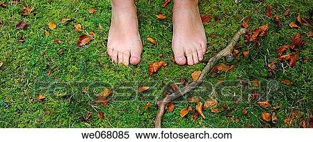 Stock Photography - Feet on the grass(herb). Fotosearch