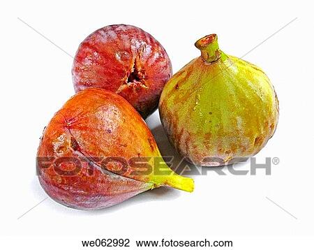 Fig fruit. Ficus carica L. Moraceae. View Large Photo Image Stock Image - Fig fruit. Ficus carica L. Moraceae.. Fotosearch