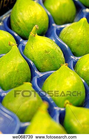 Figs for sale at La Boqueria market, Barcelona. Catalonia, Spain View Large Photo Image Stock Photo - Figs for sale at La Boqueria market, Barcelona. Catalonia, Spain. Fotosearch
