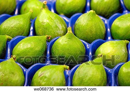 Figs for sale at La Boqueria market, Barcelona. Catalonia, Spain View Large Photo Image Stock Photograph - Figs for sale at La Boqueria market, Barcelona. Catalonia, Spain. Fotosearch