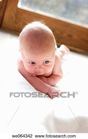 four week old baby lying on his tummy, wearing just a nappy View Large Photo Image Stock Image - four week old baby lying on his tummy, wearing just a nappy. Fotosearch