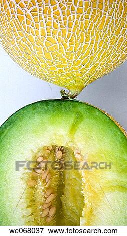 French melon View Large Photo Image Stock Photo - French melon. Fotosearch