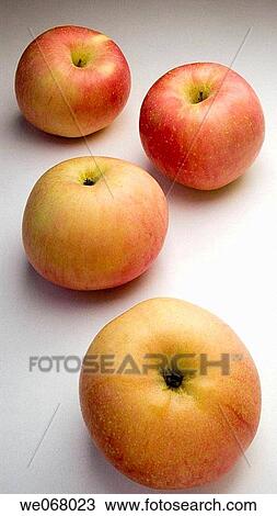 Fuji apples View Large Photo Image Stock Image - Fuji apples. Fotosearch