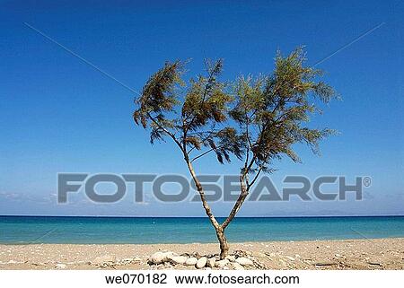 Stock Image - Greece, Rhodes, Beach. Fotosearch