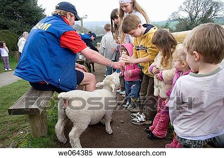 group of children, outside feeding a lamb with a milk bottle View Large Photo Image Stock Photography - group of children, outside feeding a lamb with a milk bottle. Fotosearch