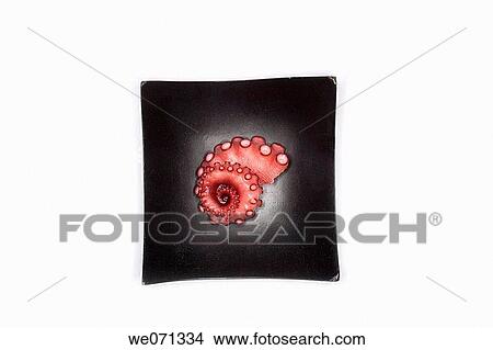 Japan. Japanese cuisine. Octopus View Large Photo Image Picture - Japan. Japanese cuisine. Octopus. Fotosearch