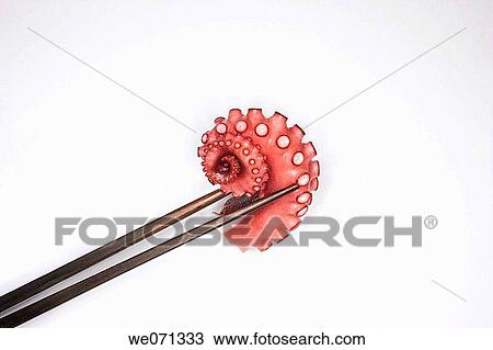Japan. Sushi. Octopus. View Large Photo Image Stock Image - Japan. Sushi. Octopus.. Fotosearch