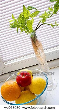 Kitchen View Large Photo Image Stock Image - Kitchen. Fotosearch
