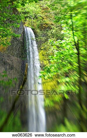 Latourell Falls in Spring - Columbia River Gorge, Oregon, USA View Large Photo Image Stock Photograph - Latourell Falls in Spring - Columbia River Gorge, Oregon, USA. Fotosearch