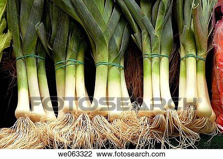 Leeks at La Boqueria market, Barcelona. Catalonia, Spain View Large Photo Image Stock Image - Leeks at La Boqueria market, Barcelona. Catalonia, Spain. Fotosearch