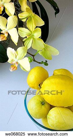 Lemons and orchids View Large Photo Image Stock Photography - Lemons and orchids. Fotosearch