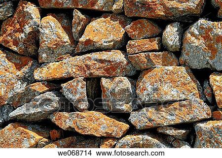 Picture - Lichen (Xanthoria parietina) on granite rocks. Eyna valley, Pyr? n? es-Orientales, France. Fotosearch
