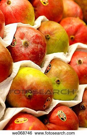 Stock Photograph - Mangoes for sale at La Boqueria market, Barcelona. Catalonia, Spain. Fotosearch