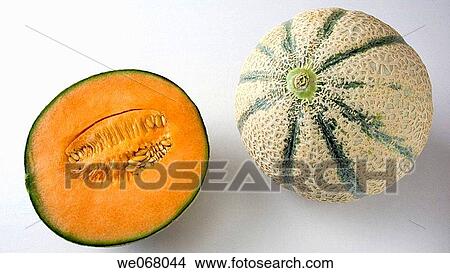 Muskmelon View Large Photo Image Picture - Muskmelon. Fotosearch
