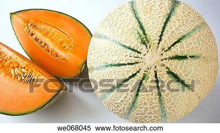 Muskmelon View Large Photo Image Stock Photography - Muskmelon. Fotosearch