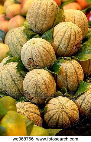 Muskmelons for sale at La Boqueria market, Barcelona. Catalonia, Spain View Large Photo Image Stock Photograph - Muskmelons for sale at La Boqueria market, Barcelona. Catalonia, Spain. Fotosearch