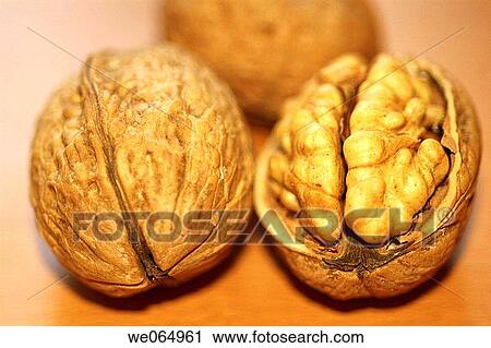 Nuts View Large Photo Image Stock Image - Nuts. Fotosearch