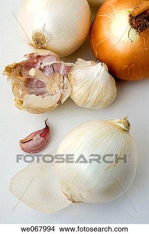 Picture - Onions and garlics. Fotosearch