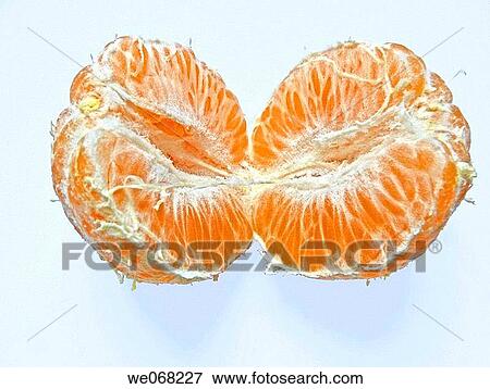 Orange fruits. Common: Sour orange, Seville orange. View Large Photo Image Stock Photo - Orange fruits. Common: Sour orange, Seville orange.. Fotosearch