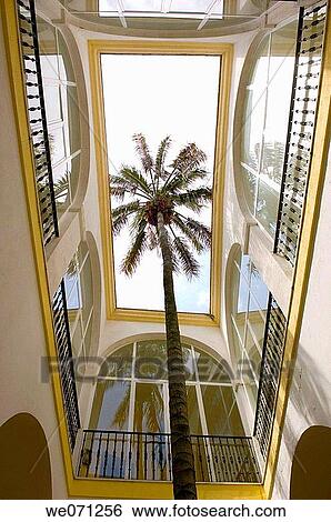 Palm tree inside court at the cultural center in Vejer de la Frontera. Costa de la Luz, Andalucia. Spain. View Large Photo Image Stock Photograph - Palm tree inside court at the cultural center in Vejer de la Frontera. Costa de la Luz, Andalucia. Spain.. Fotosearch