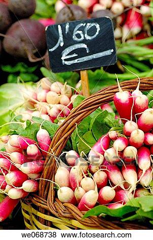 Radishes for sale at La Boqueria market, Barcelona. Catalonia, Spain View Large Photo Image Stock Photo - Radishes for sale at La Boqueria market, Barcelona. Catalonia, Spain. Fotosearch
