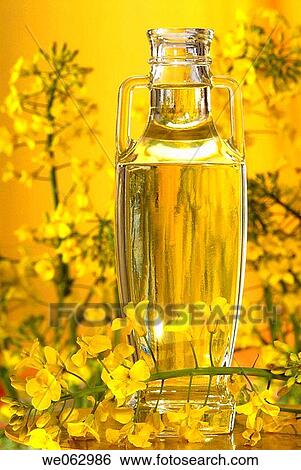 Rapeseed oil View Large Photo Image Stock Photograph - Rapeseed oil. Fotosearch