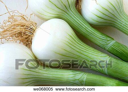 Shallots View Large Photo Image Stock Photography - Shallots. Fotosearch