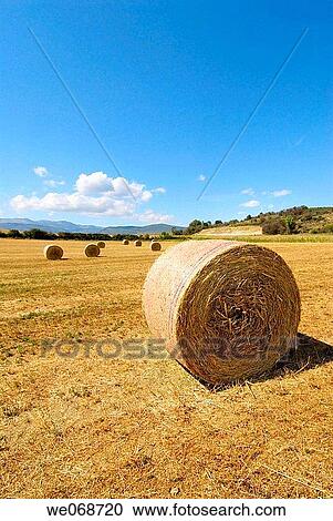 Straw rolls. Osseja, Pyr? n? es-Orientales, France View Large Photo Image Stock Image - Straw rolls. Osseja, Pyr? n? es-Orientales, France. Fotosearch