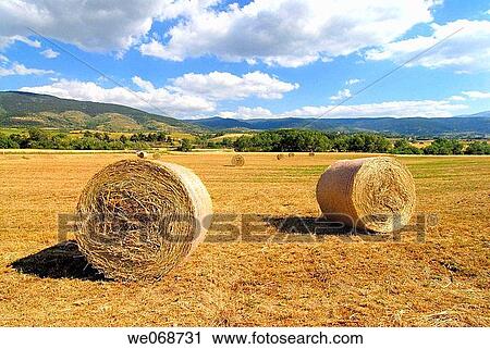 Straw rolls. Osseja, Pyr? n? es-Orientales, France View Large Photo Image Stock Image - Straw rolls. Osseja, Pyr? n? es-Orientales, France. Fotosearch