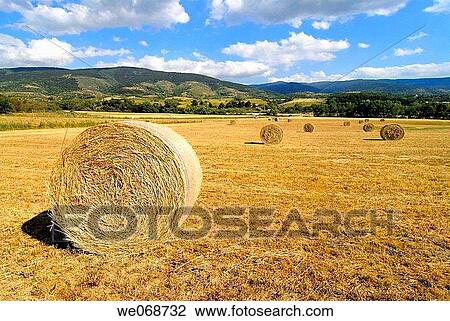 Straw rolls. Osseja, Pyr? n? es-Orientales, France View Large Photo Image Stock Image - Straw rolls. Osseja, Pyr? n? es-Orientales, France. Fotosearch