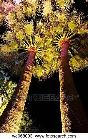 Stock Image - The new lighting plan of the city of Cannes: permanent illumination of the Boulevard de la Croisette. Alpes-Maritimes, France. Fotosearch