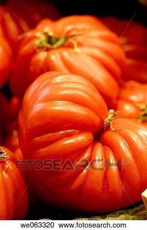 Tomatoes at La Boqueria market, Barcelona. Catalonia, Spain View Large Photo Image Stock Image - Tomatoes at La Boqueria market, Barcelona. Catalonia, Spain. Fotosearch
