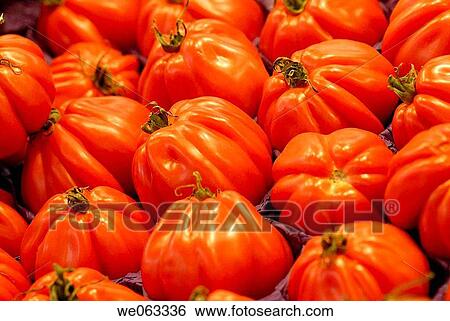 Tomatoes at La Boqueria market, Barcelona. Catalonia, Spain View Large Photo Image Stock Photograph - Tomatoes at La Boqueria market, Barcelona. Catalonia, Spain. Fotosearch