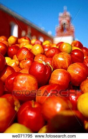 Tomatoes detail in Oaxaca, Mexico View Large Photo Image Stock Photography - Tomatoes detail in Oaxaca, Mexico. Fotosearch