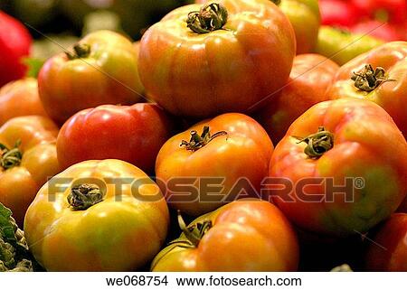 Tomatoes for sale at La Boqueria market, Barcelona. Catalonia, Spain View Large Photo Image Picture - Tomatoes for sale at La Boqueria market, Barcelona. Catalonia, Spain. Fotosearch