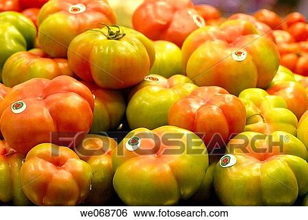 Tomatoes for sale at La Boqueria market, Barcelona. Catalonia, Spain View Large Photo Image Stock Photograph - Tomatoes for sale at La Boqueria market, Barcelona. Catalonia, Spain. Fotosearch