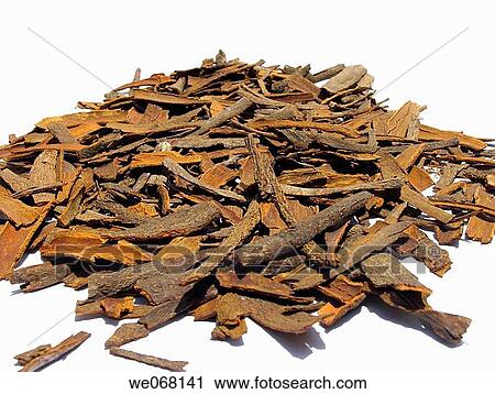True cinnamon comes from the inner bark of a tree called Cinnamomum verum. View Large Photo Image Stock Image - True cinnamon comes from the inner bark of a tree called Cinnamomum verum.. Fotosearch