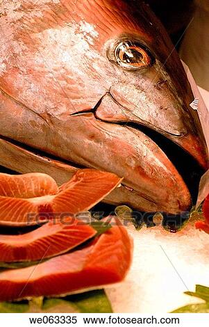Tuna at La Boqueria market, Barcelona. Catalonia, Spain View Large Photo Image Stock Photography - Tuna at La Boqueria market, Barcelona. Catalonia, Spain. Fotosearch