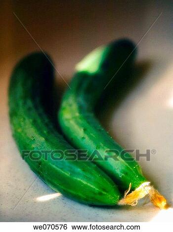 Two Cucumbers on kitchen countertop. Cucumis sativus. August 2006. Maryland, USA View Large Photo Image Stock Photograph - Two Cucumbers on kitchen countertop. Cucumis sativus. August 2006. Maryland, USA. Fotosearch