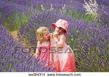 Picture - two sisters age 3 and 5 sitting standing in a lavender field hugging. Fotosearch