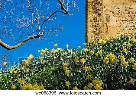 UK, England, Surrey, Guildford, castle View Large Photo Image Stock Photograph - UK, England, Surrey, Guildford, castle. Fotosearch